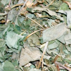 �ǂ�����