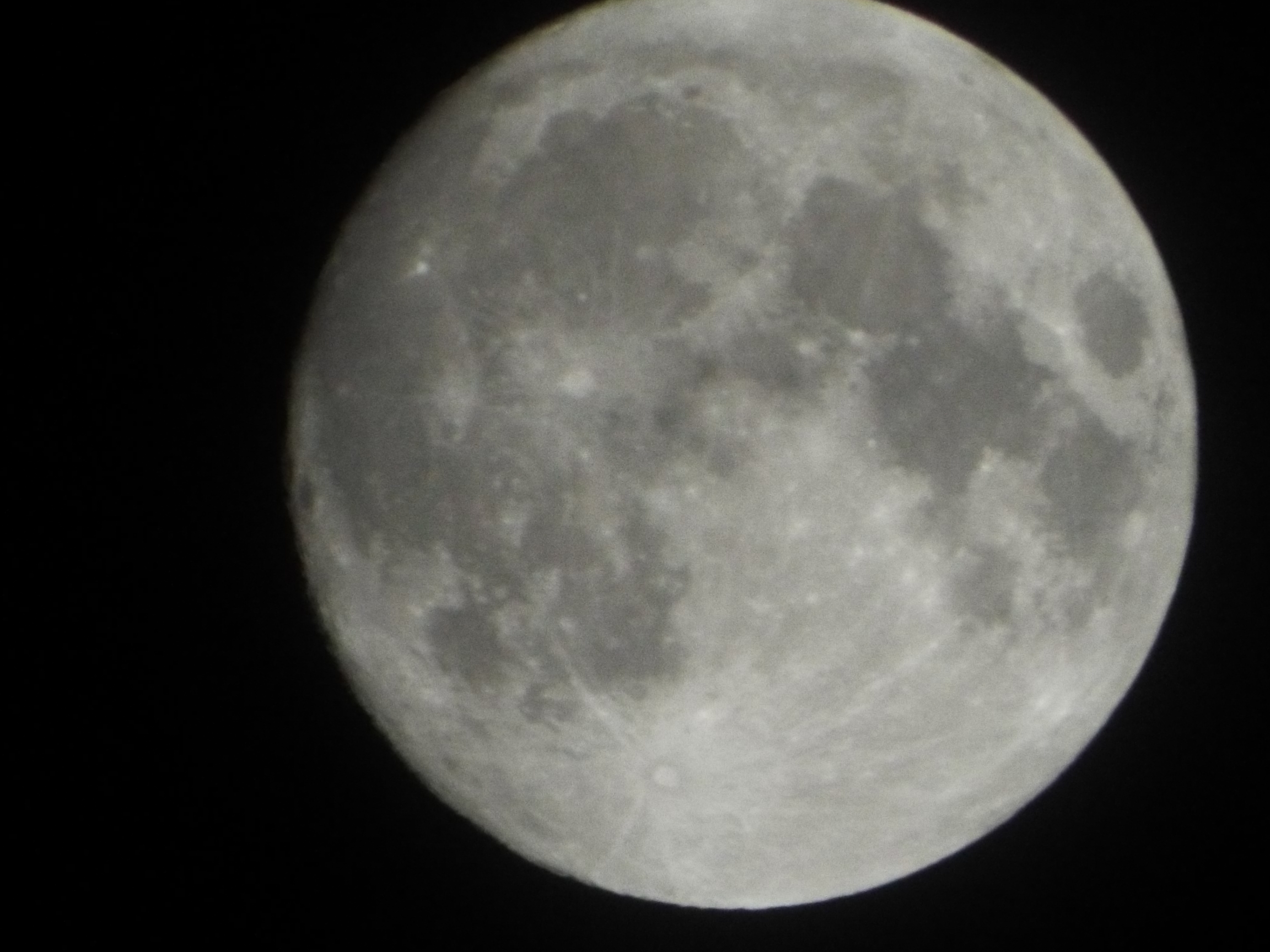 S9900W���ʎʐ^