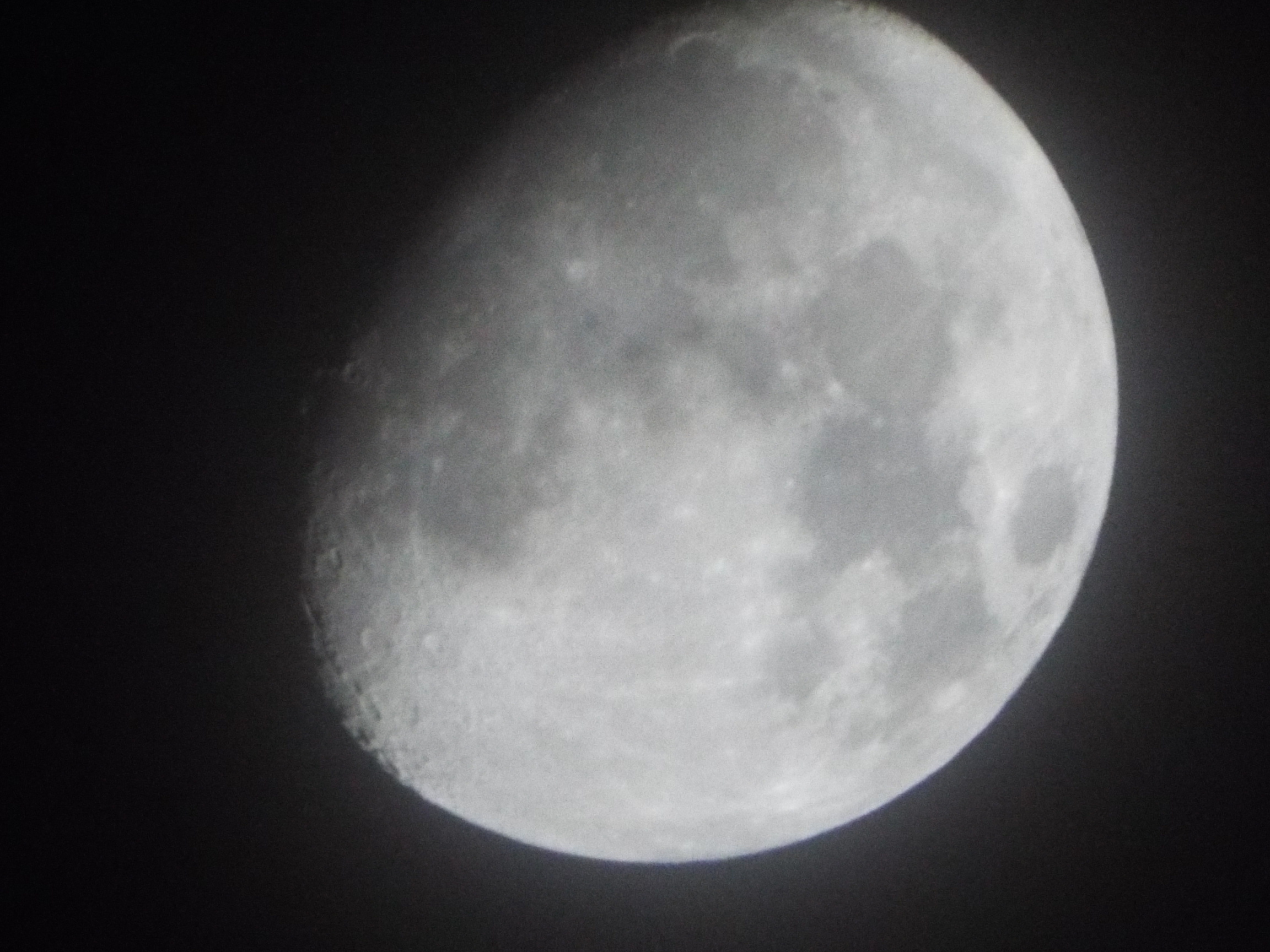 SR�I�[�g�A�˂炢�B��Y�[�����Q�{