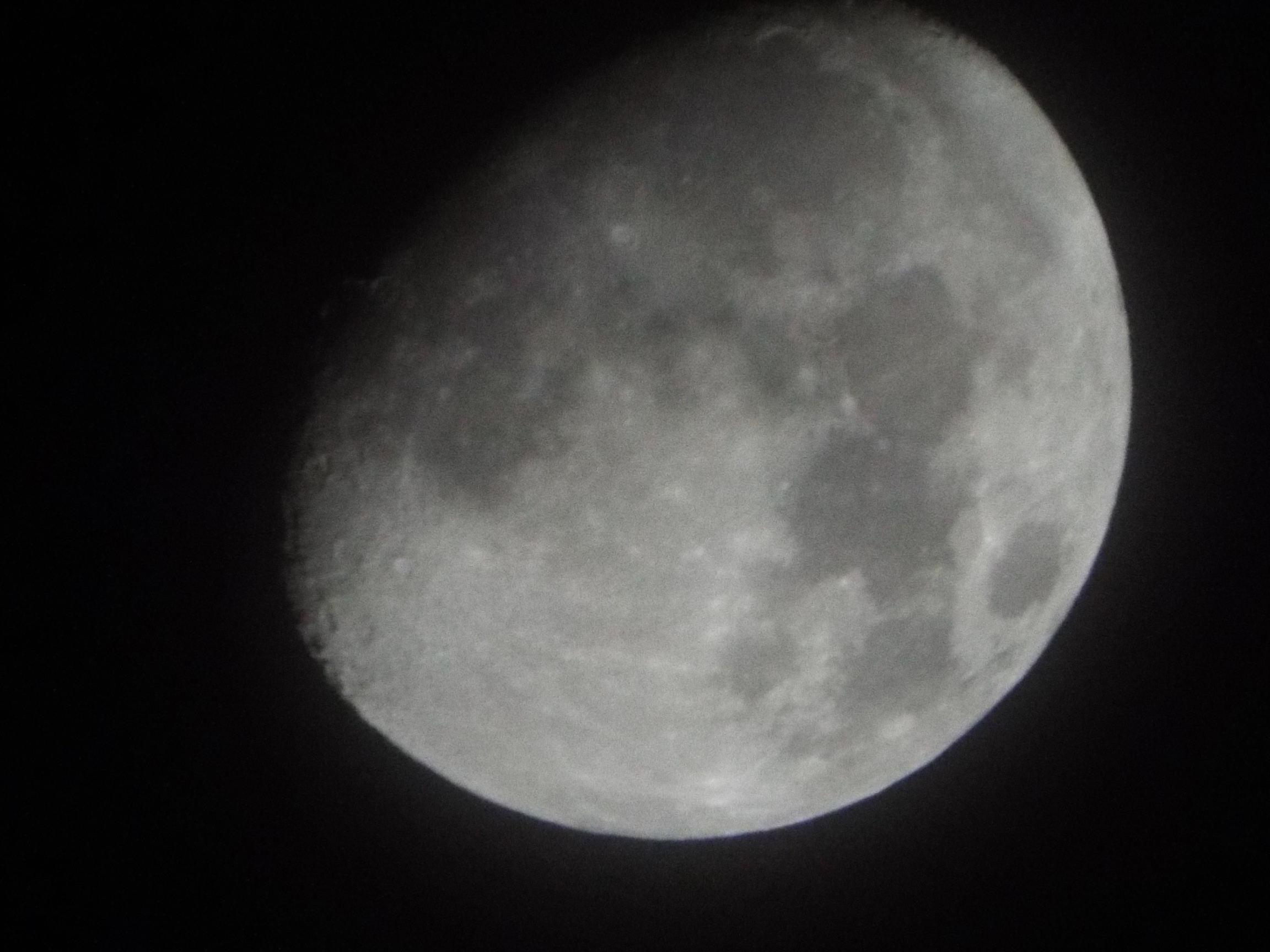 P���[�h�A�˂炢�B��Y�[�����Q�{