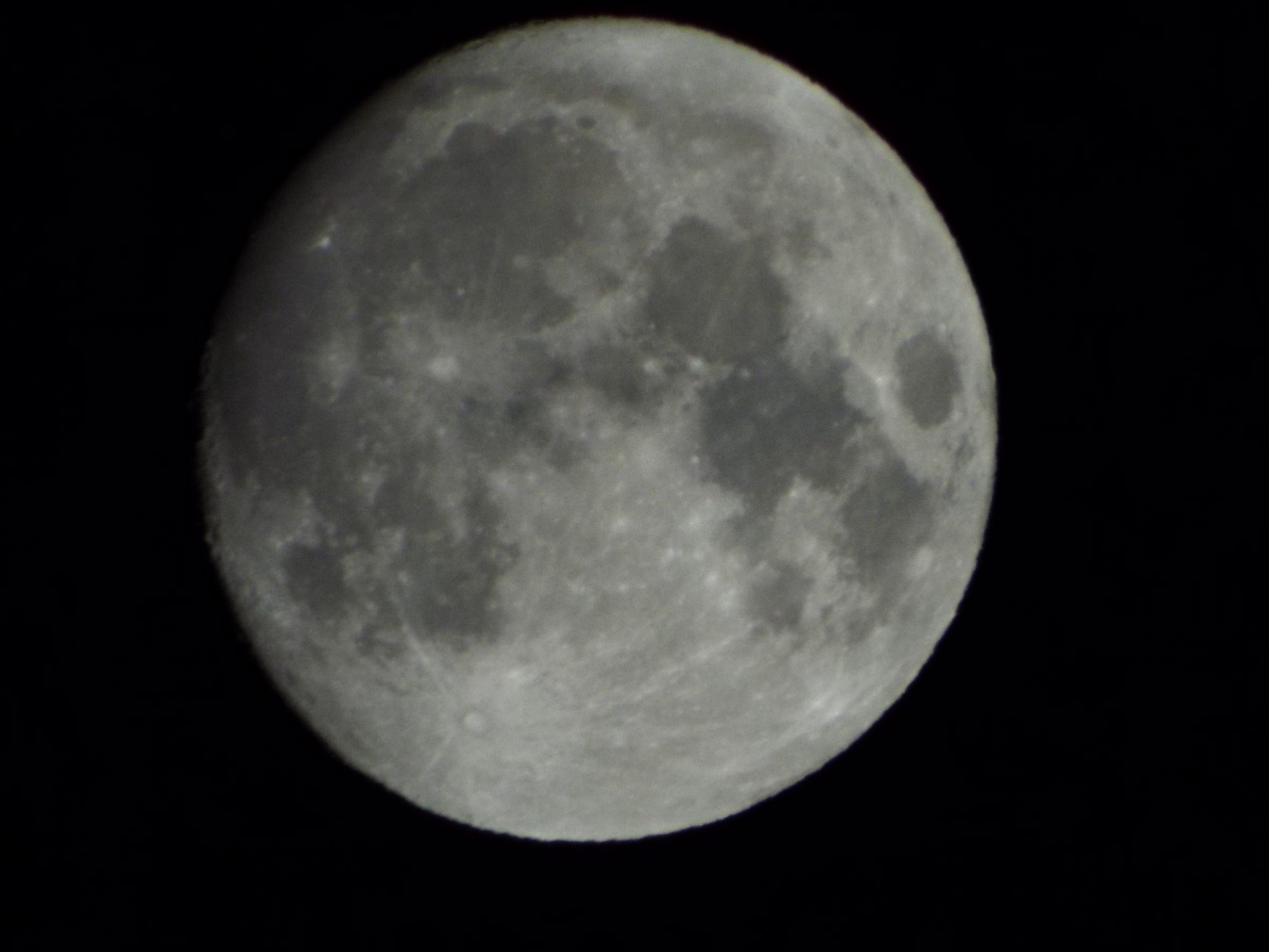 P���[�h�A�˂炢�B��Y�[���̌���