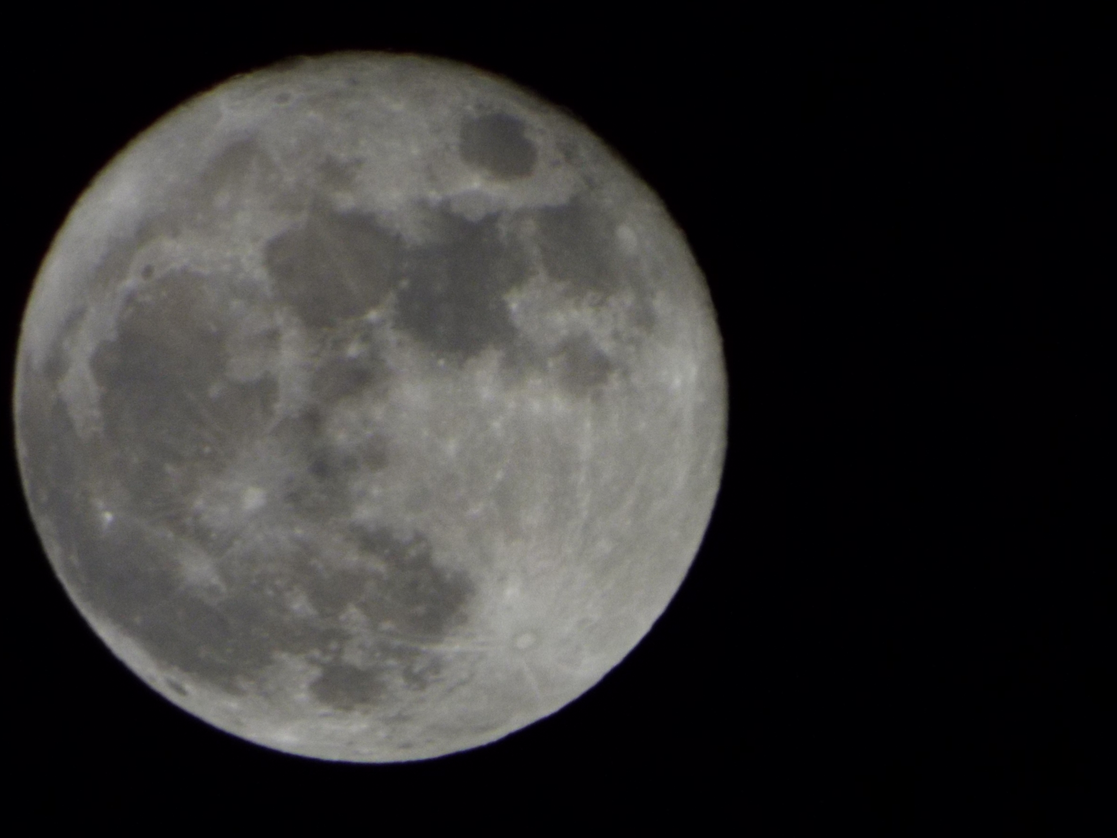 P���[�h�̌���