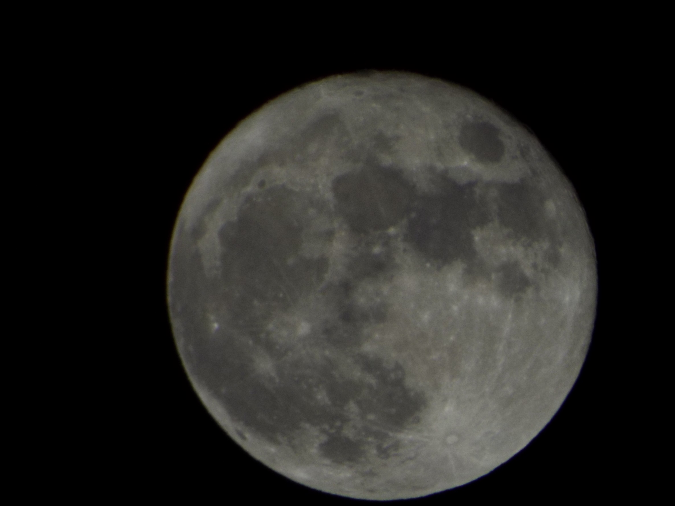 M���[�hISO100�̌���