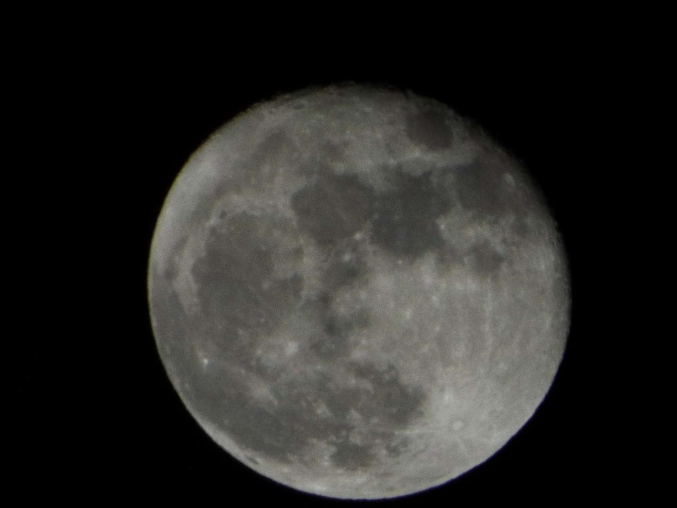 �����̃x�X�g�V���b�g������