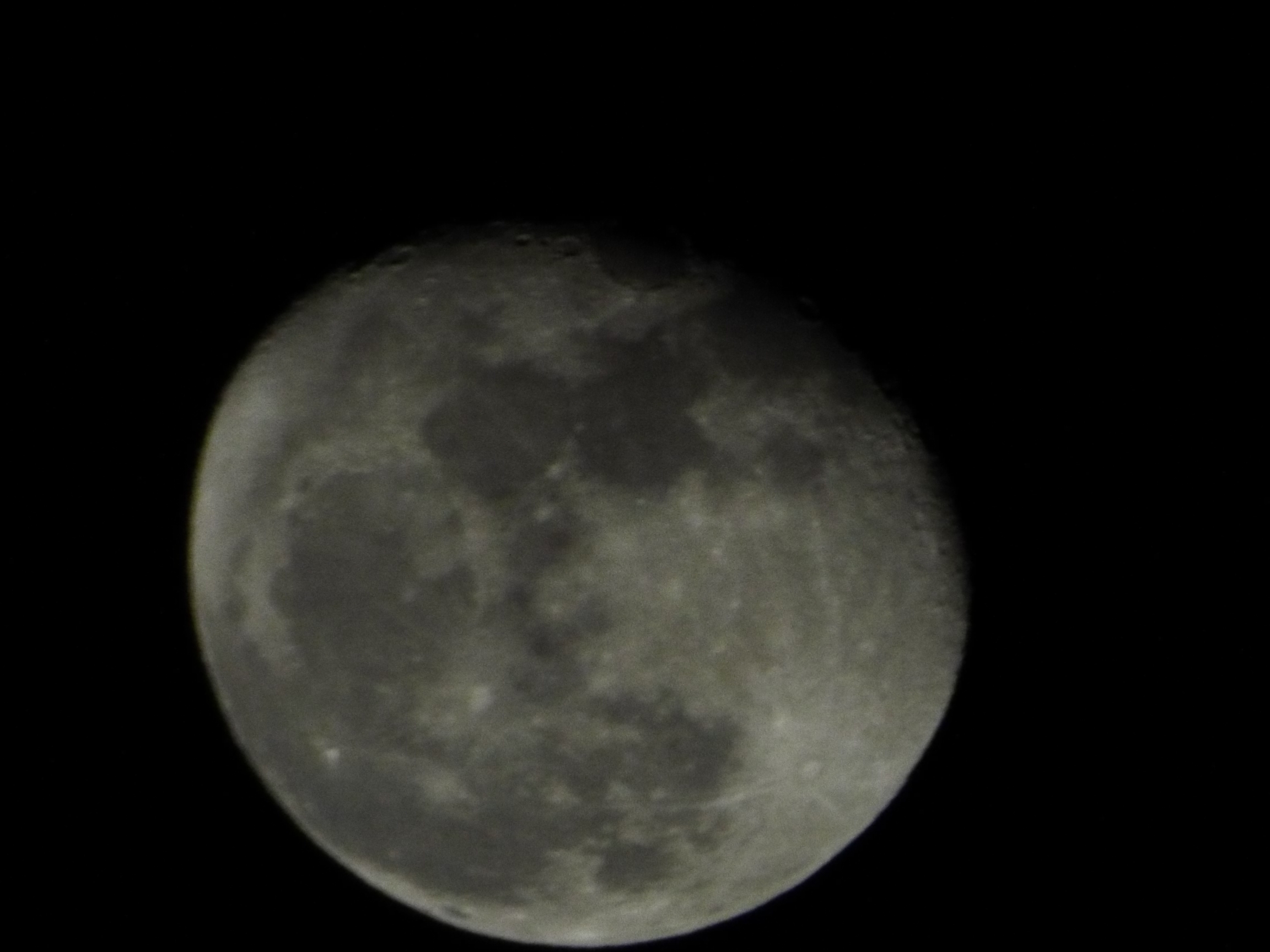 �����������o�Ă���������