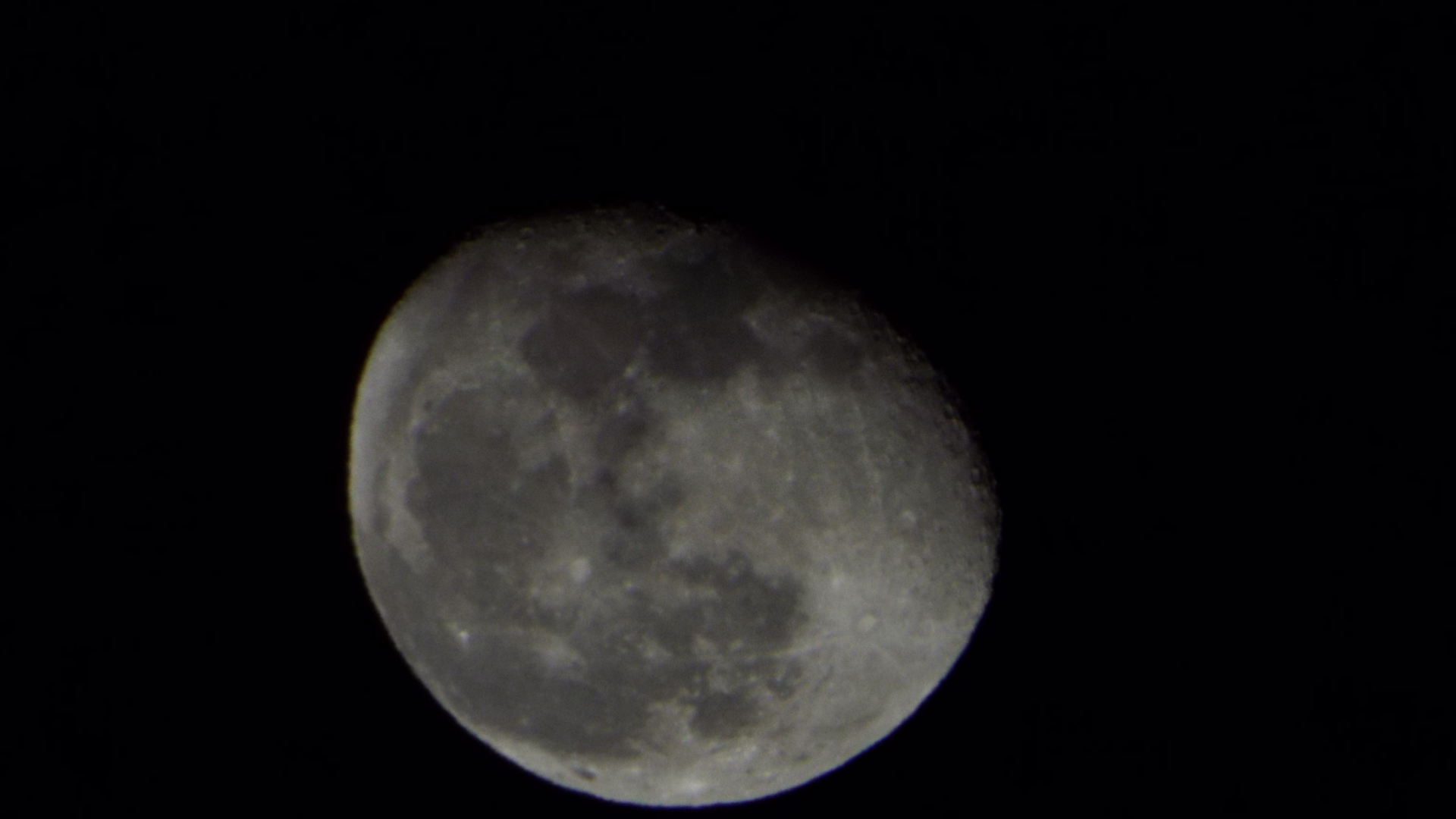 �P���̌���