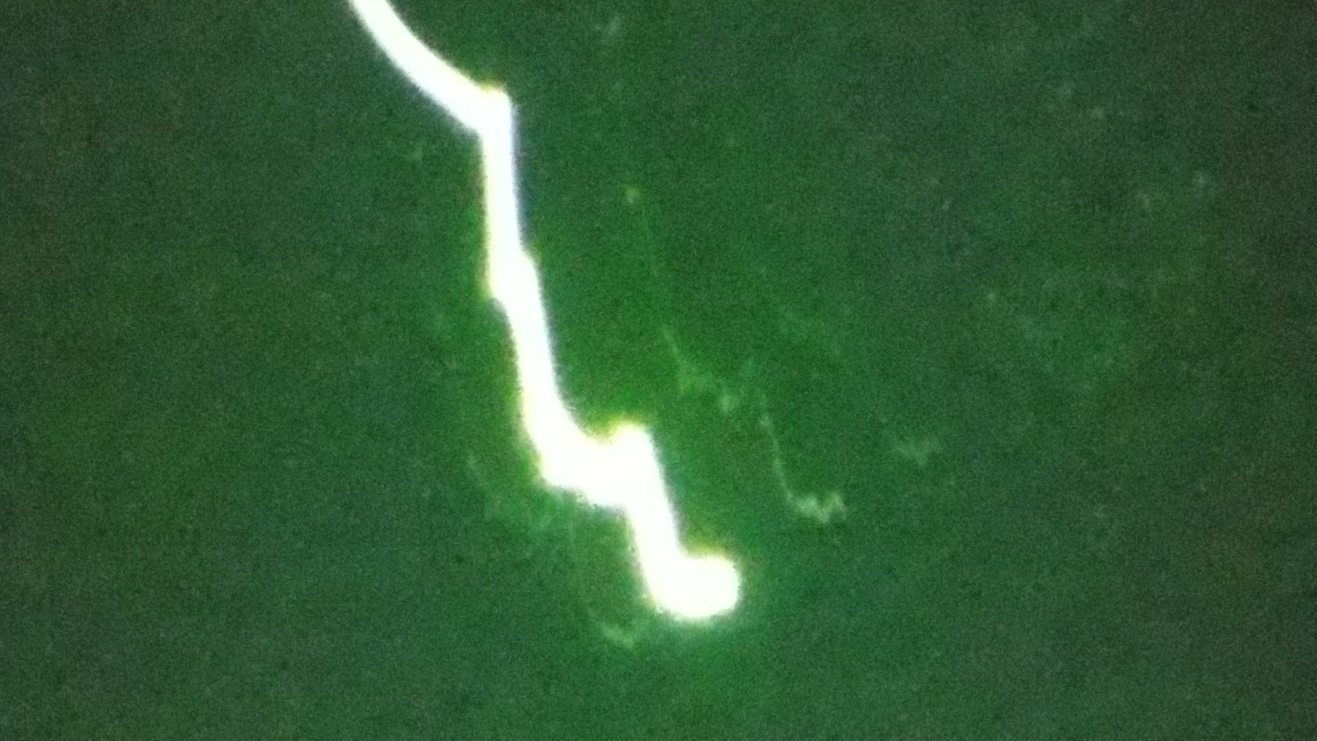 UFO�����ł����H�I